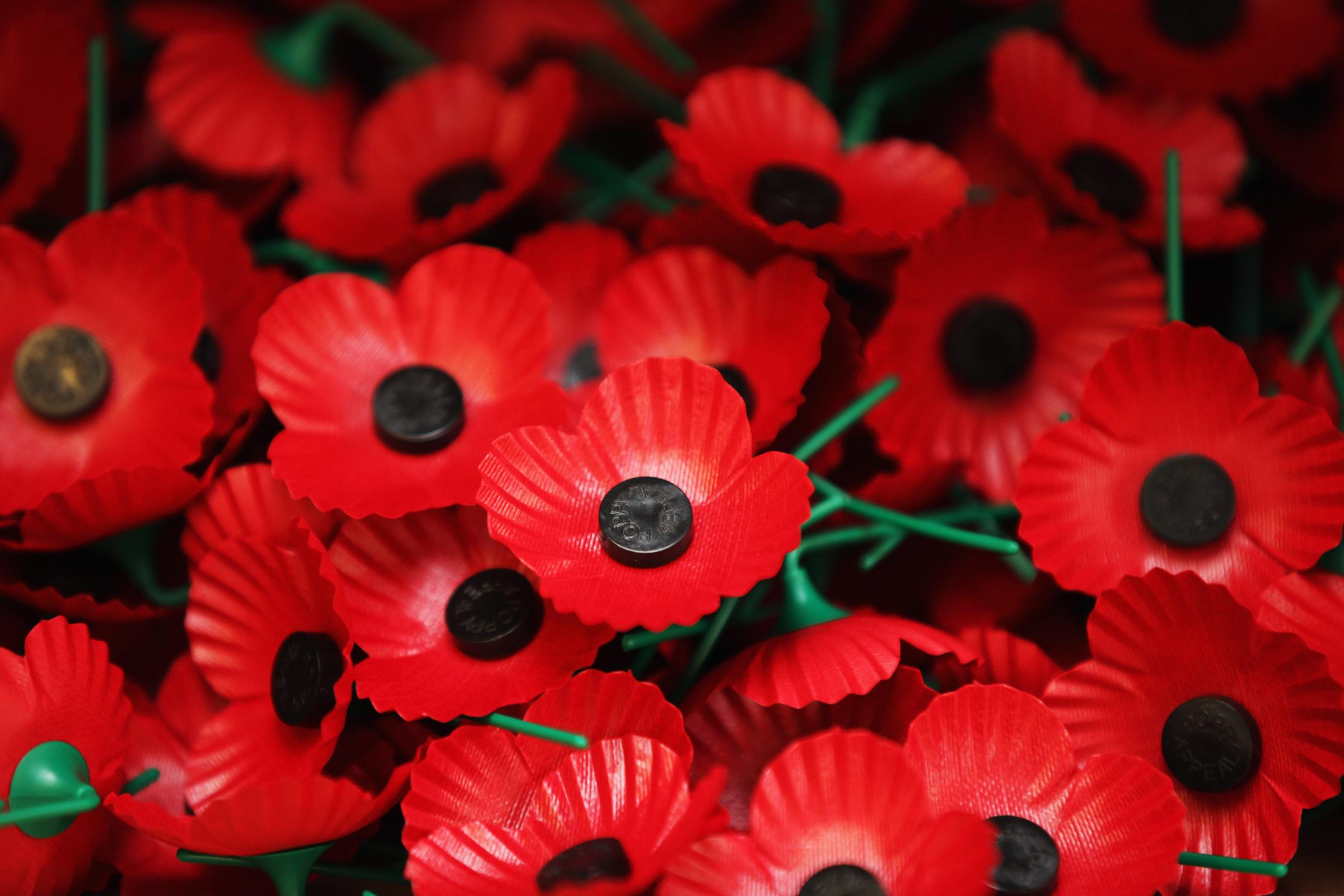 Issue Of The Day The Meaning Of The Poppy Heraldscotland