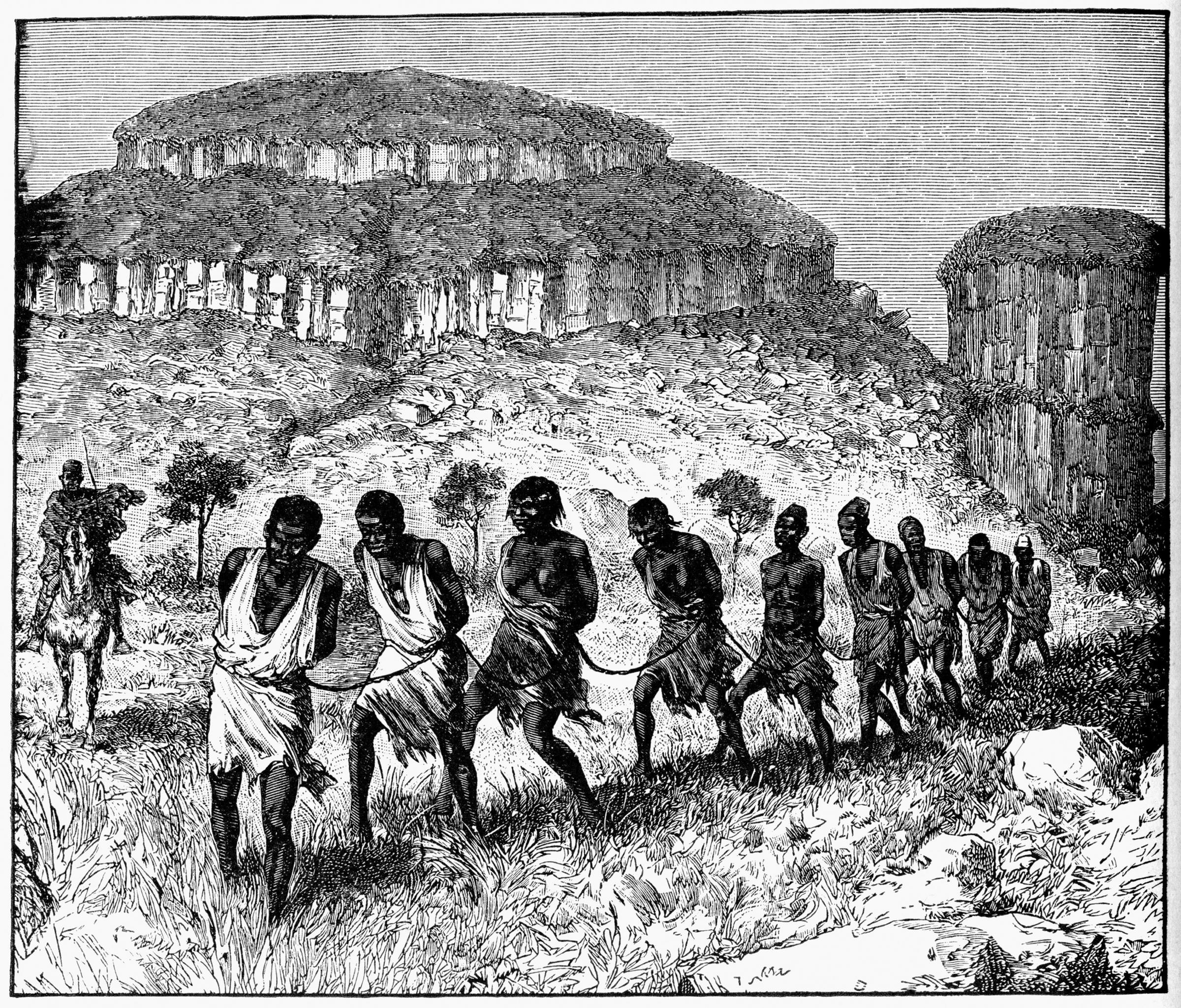 Engraving depicts a forced march of men and women on their way to slave ships, Africa, 1820s. (Photo by Interim Archives/Getty Images).