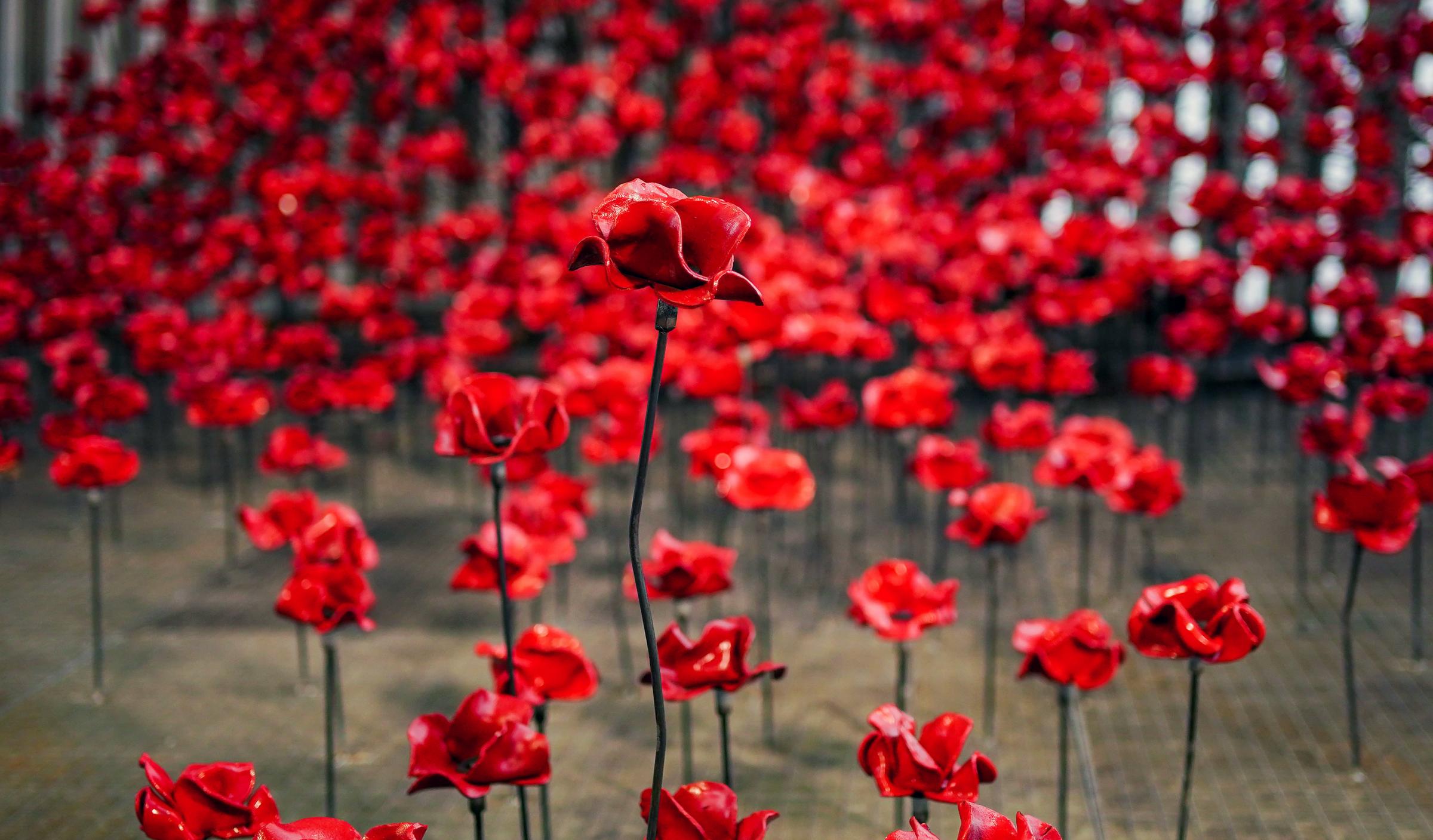 Remembrance Sunday 2021 When To Observe A Two Minute Silence This Weekend Heraldscotland