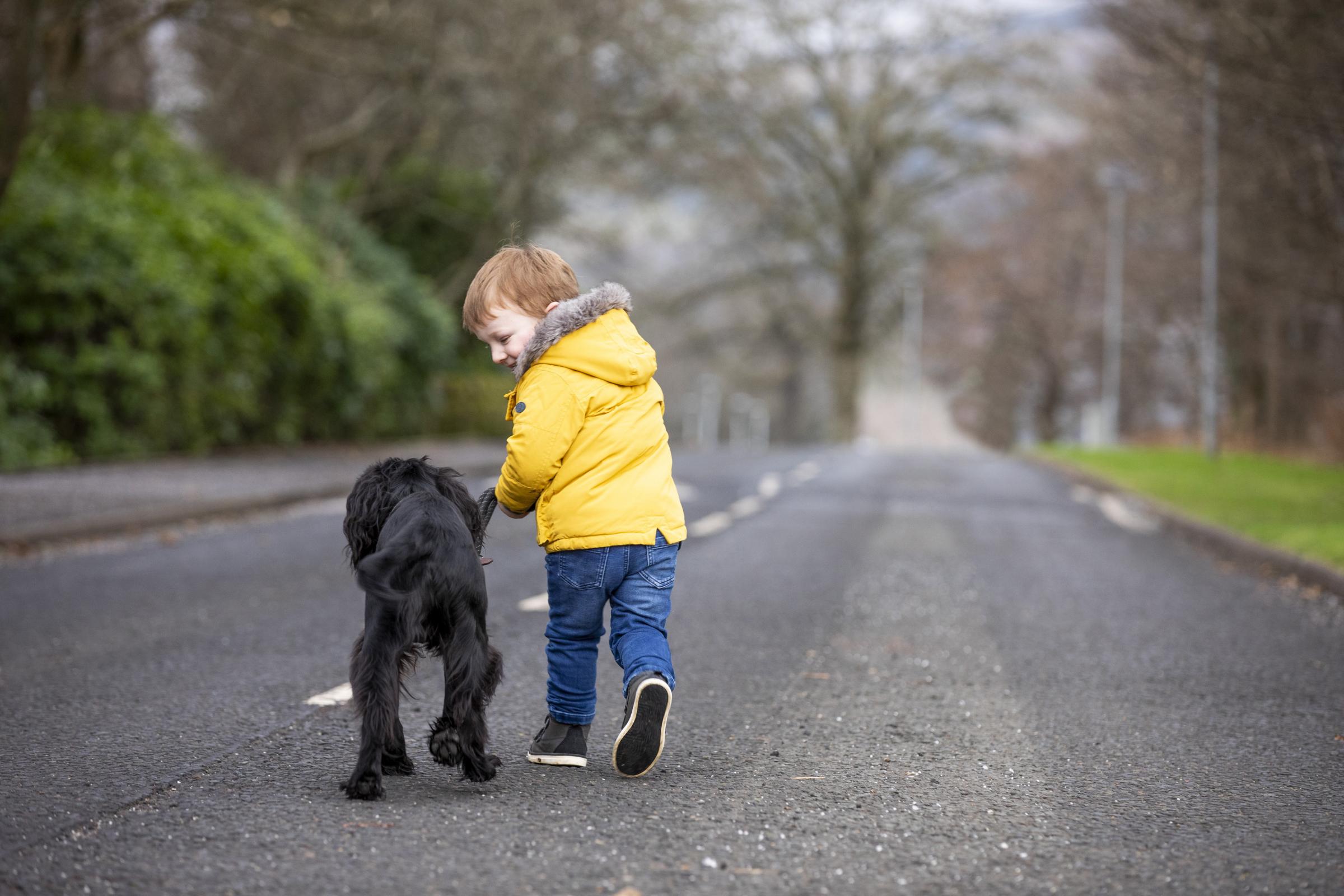 Young Angus Caulfield begins his training with dog Copper. Photo by Jamie Williamson. 