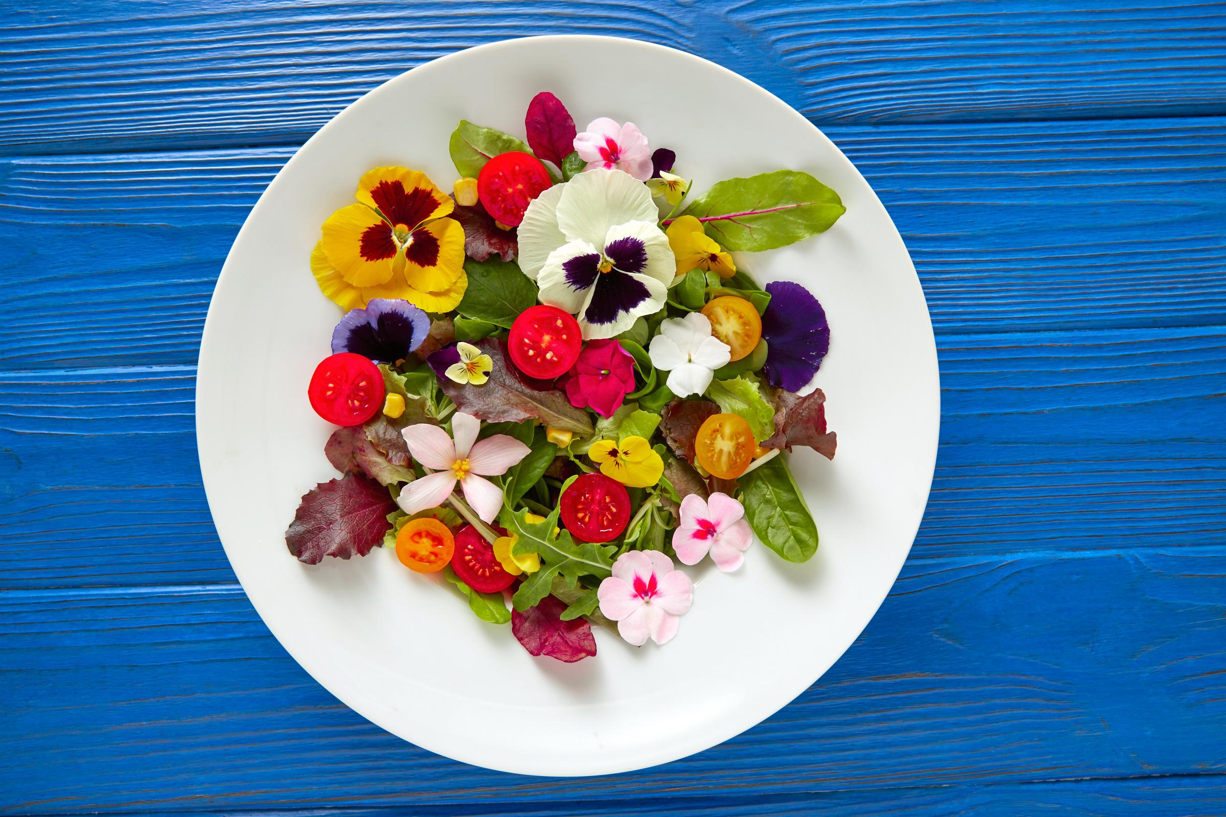 How To Create Your Own Edible Flower Garden And Food To Eat Heraldscotland